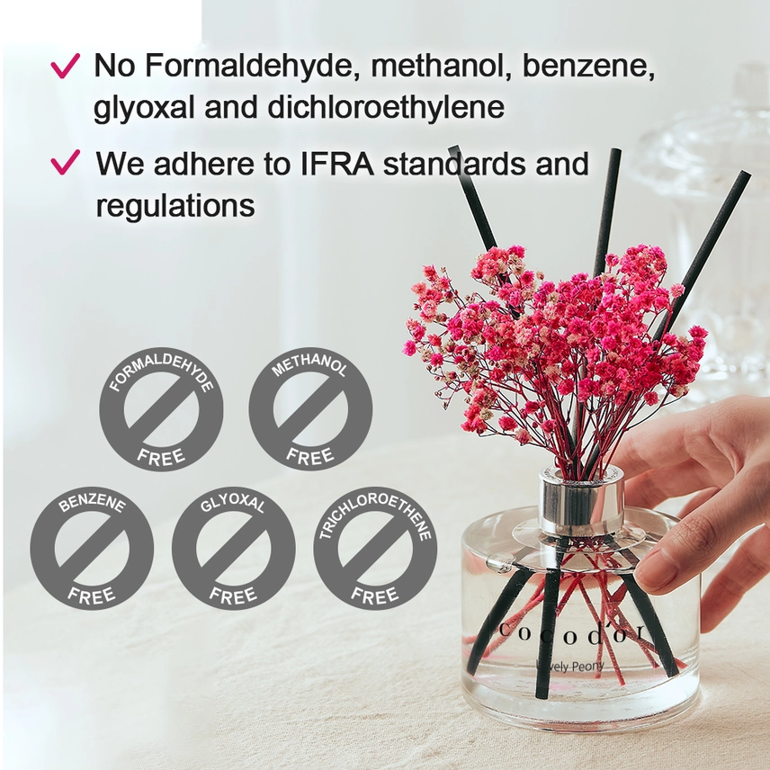 Cocodor Diffusore di Fiori 200ml (6.7oz) Fragranza Cotone Puro